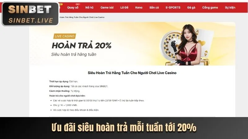 Hoàn trả tiền cược hàng tuần tại 88t nhà cái, với biểu tượng hoàn tiền